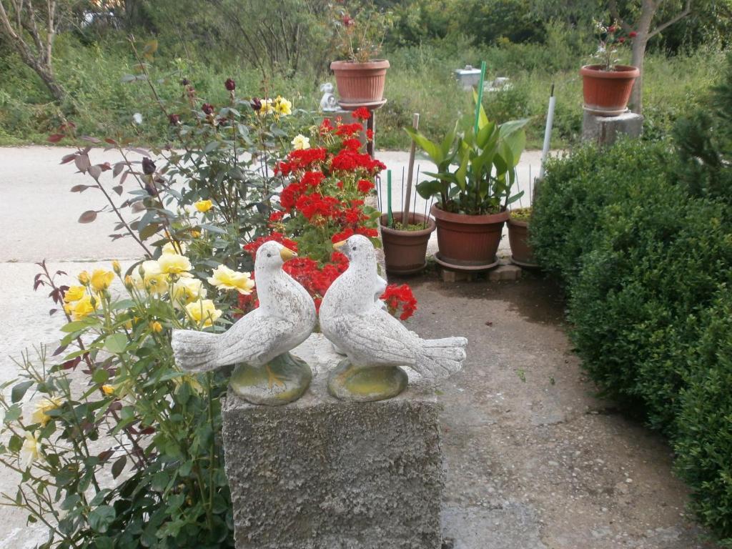 Villa Ana Medugorje Bagian luar foto