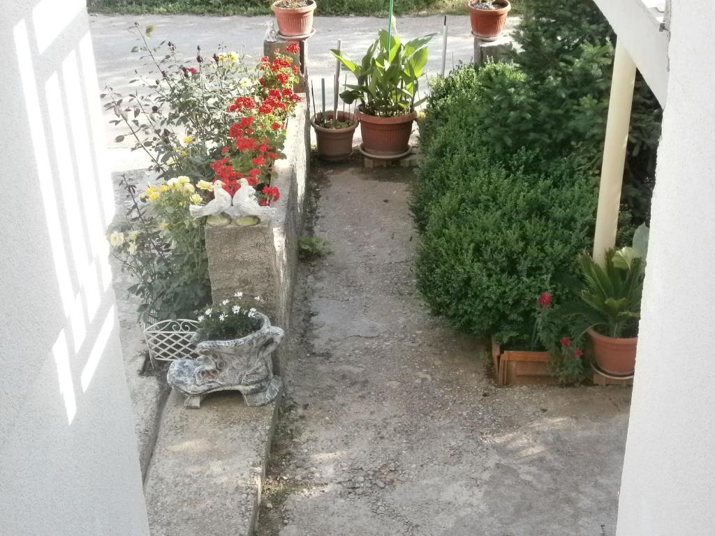 Villa Ana Medugorje Bagian luar foto