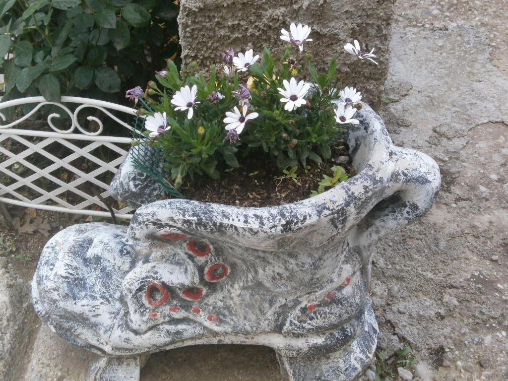 Villa Ana Medugorje Bagian luar foto